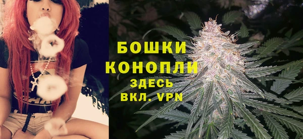 гашик Заволжье