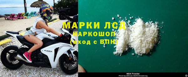 стафф Елизово