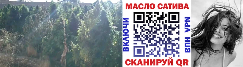 ТГК гашишное масло  где купить   даркнет Telegram  Волгодонск 
