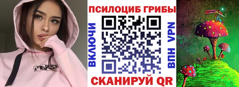 Псилоцибиновые грибы Magic Shrooms  OMG маркетплейс  Волгодонск  купить  цена 